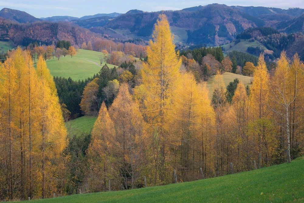 Bærekraftige løsninger i norsk industri
