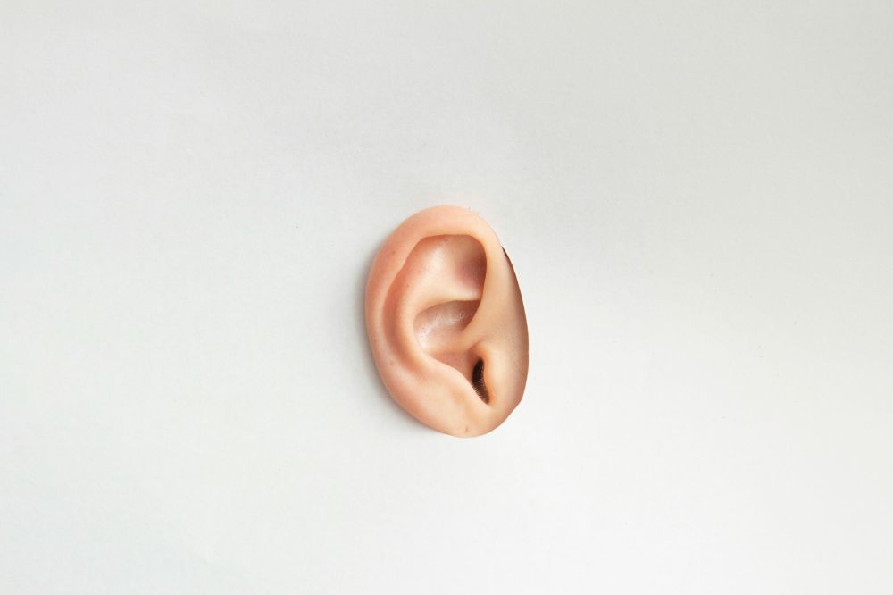 Tinnitus  Å leve bedre med plagsom Øresus